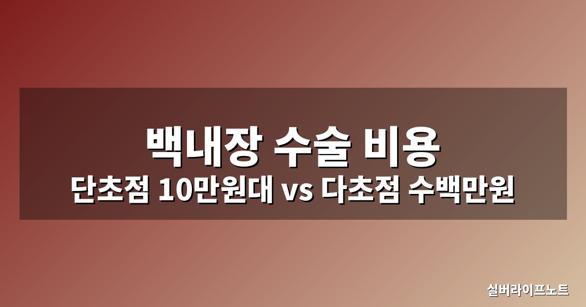 백내장 수술 비용 실비 대표 이미지